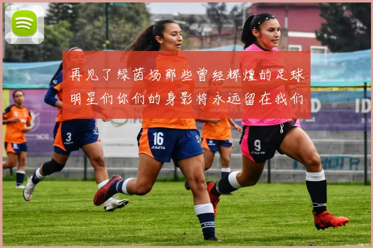 再见了绿茵场那些曾经辉煌的足球明星们你们的身影将永远留在我们的记忆中
