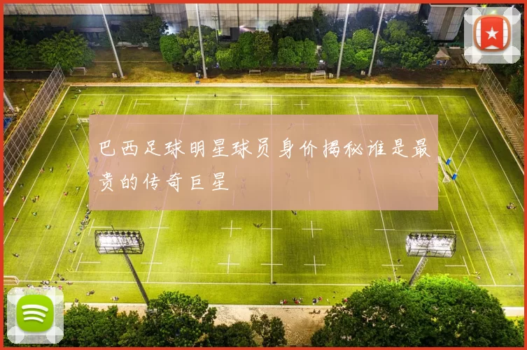 巴西足球明星球员身价揭秘谁是最贵的传奇巨星