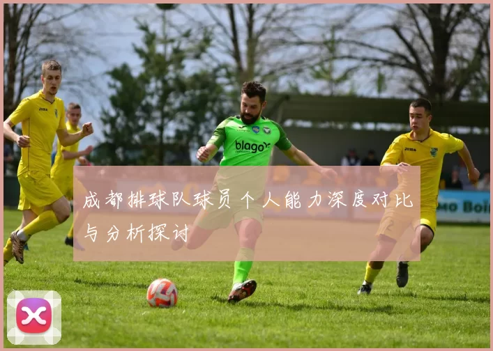 成都排球队球员个人能力深度对比与分析探讨