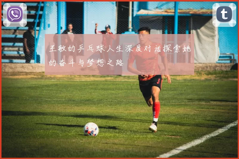 王敏的乒乓球人生深度对话探索她的奋斗与梦想之路