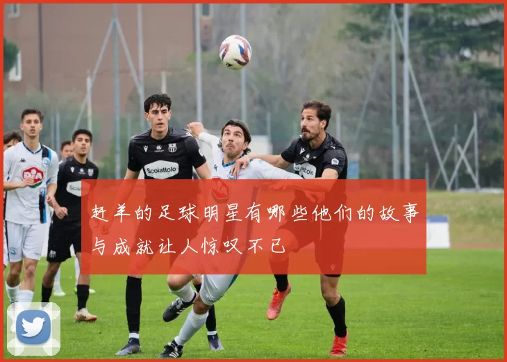 赶羊的足球明星有哪些他们的故事与成就让人惊叹不已