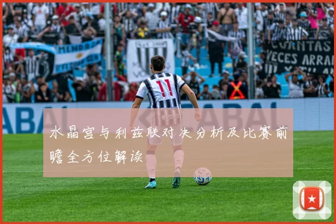 水晶宫与利兹联对决分析及比赛前瞻全方位解读
