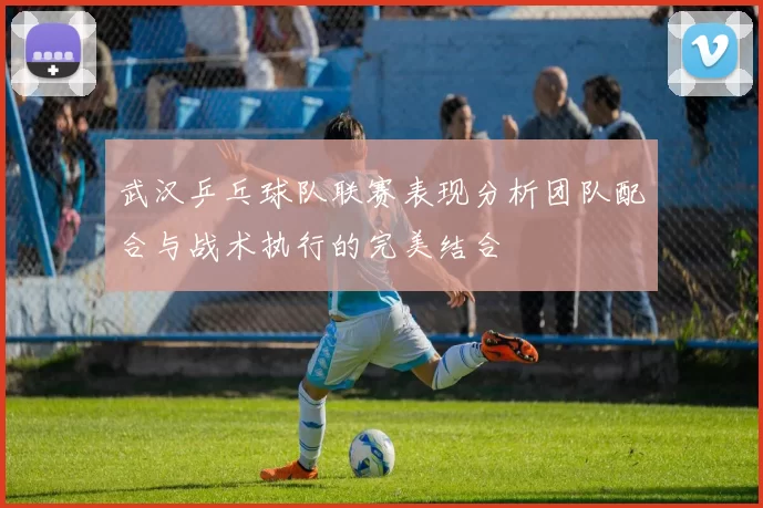 武汉乒乓球队联赛表现分析团队配合与战术执行的完美结合
