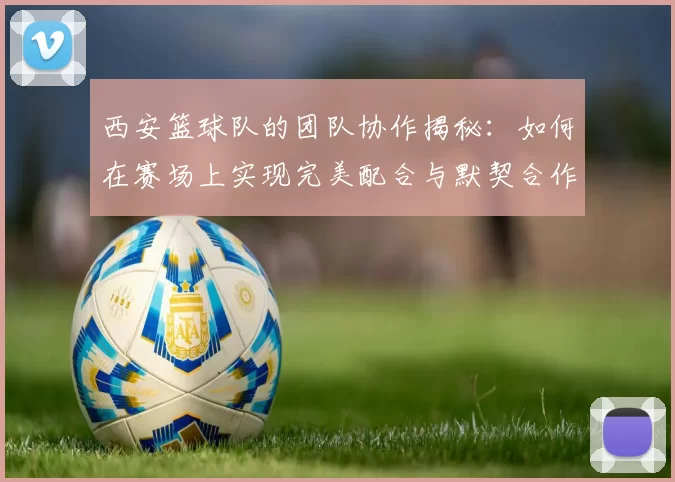 西安篮球队的团队协作揭秘：如何在赛场上实现完美配合与默契合作
