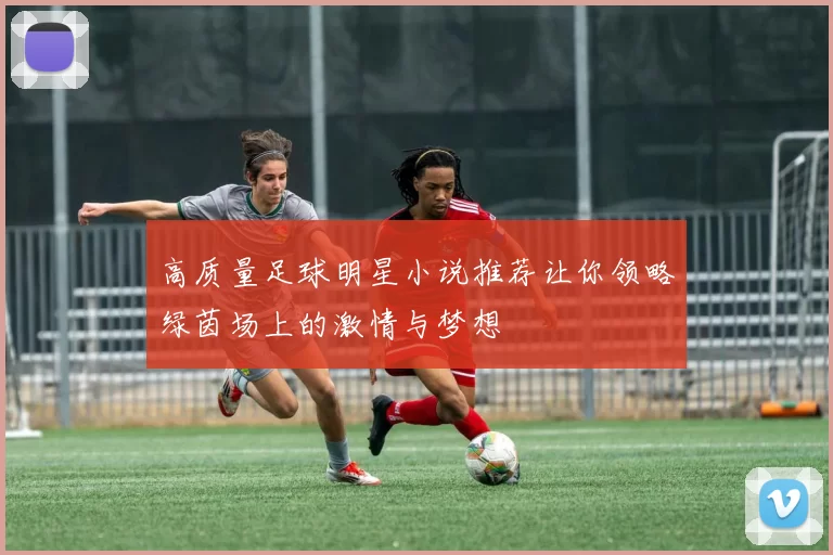 高质量足球明星小说推荐让你领略绿茵场上的激情与梦想