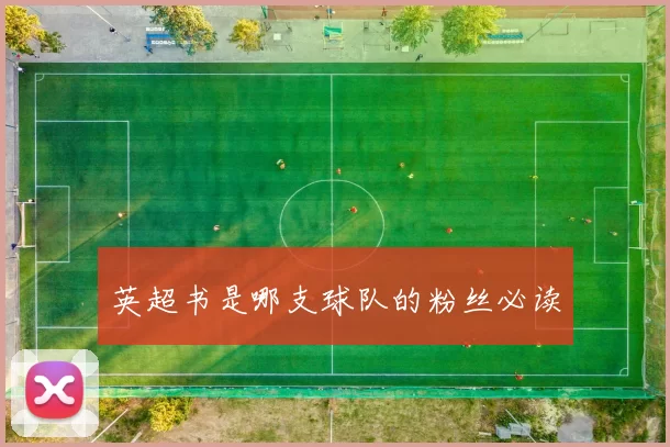 英超书是哪支球队的粉丝必读