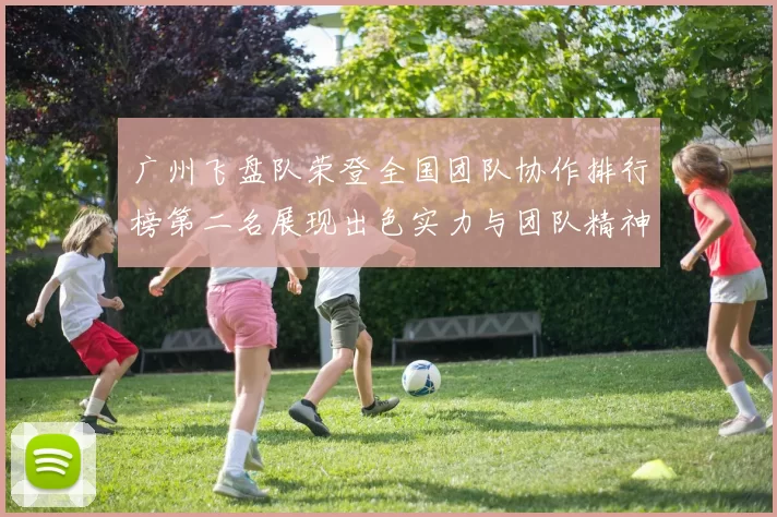 广州飞盘队荣登全国团队协作排行榜第二名展现出色实力与团队精神