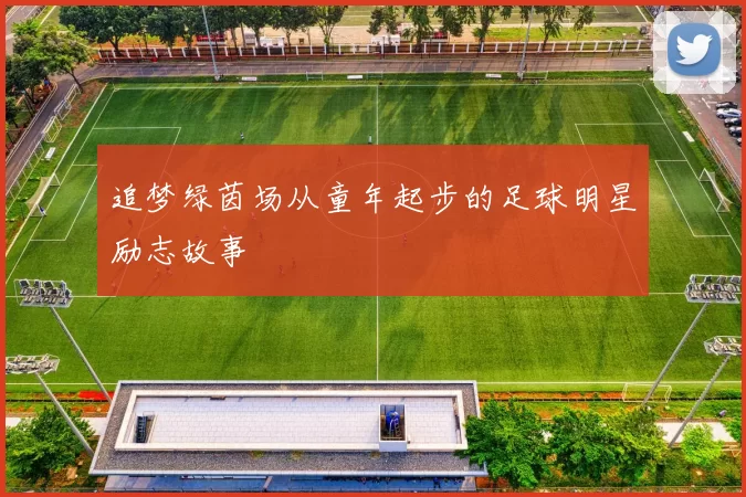 追梦绿茵场从童年起步的足球明星励志故事