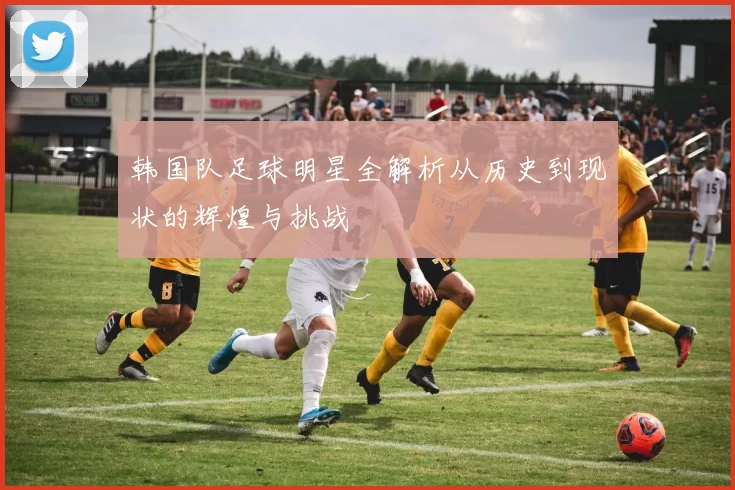 韩国队足球明星全解析从历史到现状的辉煌与挑战