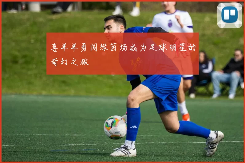 喜羊羊勇闯绿茵场成为足球明星的奇幻之旅