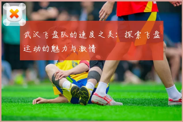 武汉飞盘队的速度之美：探索飞盘运动的魅力与激情
