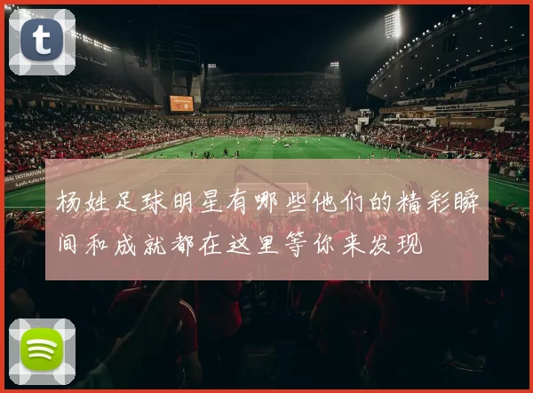 杨姓足球明星有哪些他们的精彩瞬间和成就都在这里等你来发现