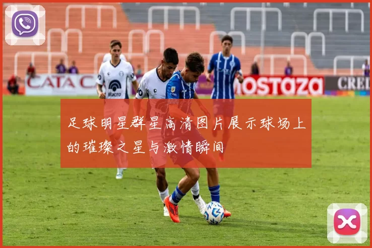 足球明星群星高清图片展示球场上的璀璨之星与激情瞬间
