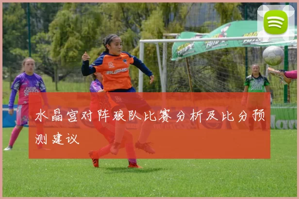 水晶宫对阵狼队比赛分析及比分预测建议