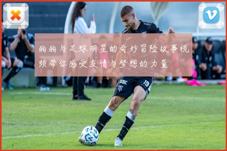狗狗与足球明星的奇妙冒险故事视频带你感受友情与梦想的力量