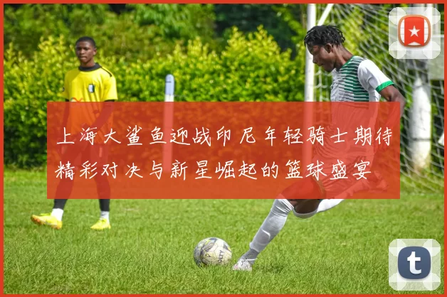 上海大鲨鱼迎战印尼年轻骑士期待精彩对决与新星崛起的篮球盛宴