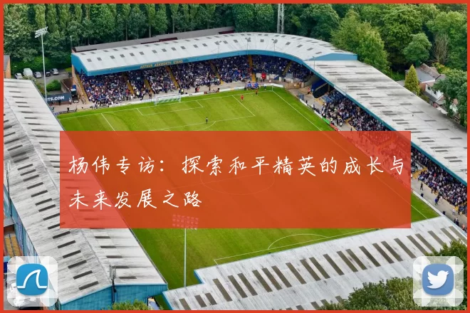 杨伟专访：探索和平精英的成长与未来发展之路