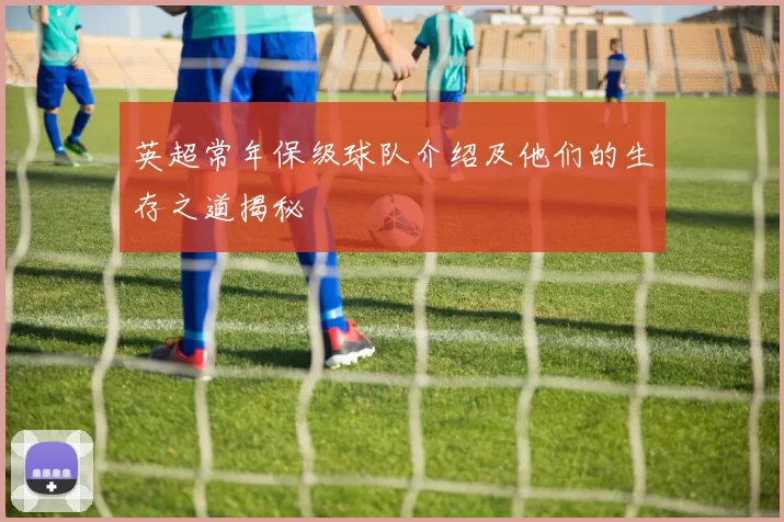 英超常年保级球队介绍及他们的生存之道揭秘