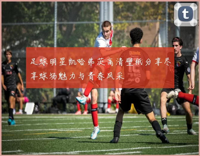 足球明星凯哈弗茨高清壁纸分享尽享球场魅力与青春风采