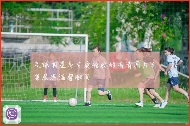 足球明星与可爱狗狗的高清图片合集展现温馨瞬间