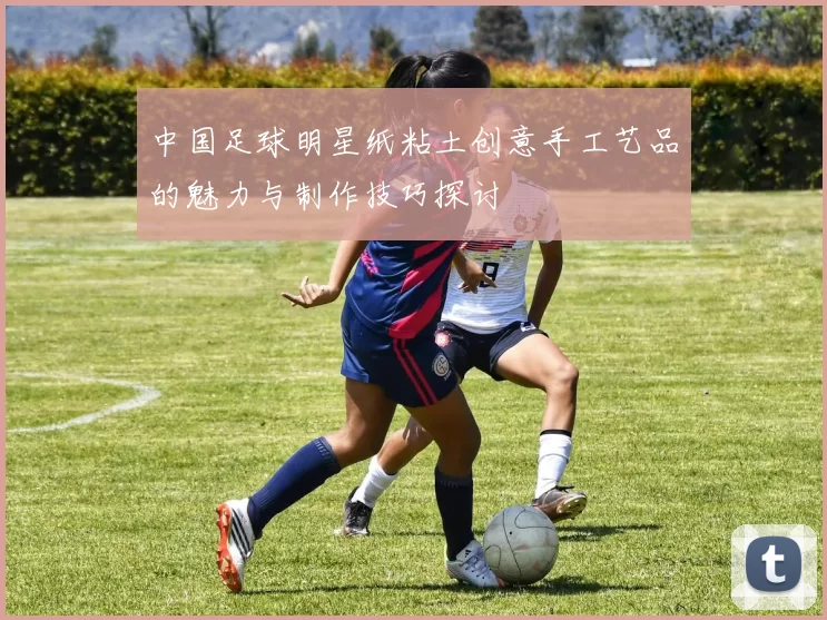 中国足球明星纸粘土创意手工艺品的魅力与制作技巧探讨