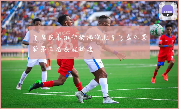 飞盘技术排行榜揭晓北京飞盘队荣获第三名成就辉煌