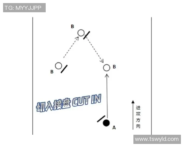 飞盘战术解析：上海飞盘队如何构建高效区域防守体系