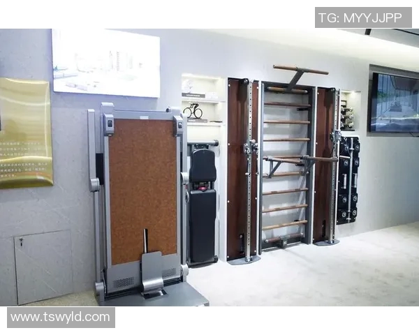 广州进口健身器材市场行情及热门品牌推荐