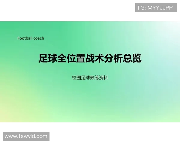 杭州足球队的速度之美与战术解析探讨