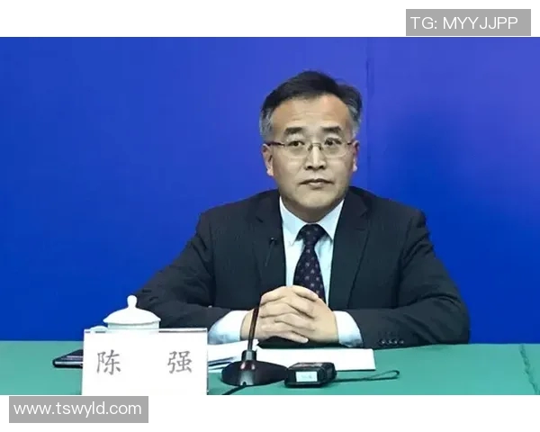 深度对话：探索陈强在网球世界中的奋斗与成长历程