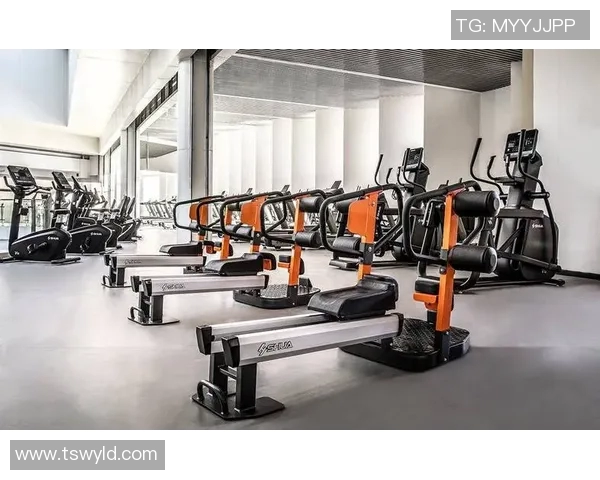 高端健身器材批发市场现状及优质供应商