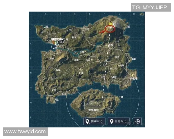 和平精英战术解析：深入探讨LNG在阵地战中的战略运用与战斗技巧