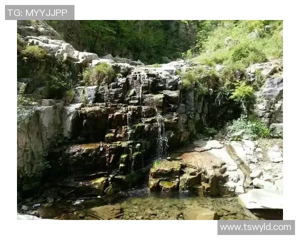 张静亲述攀岩技巧与心得体会助你轻松征服高峰挑战